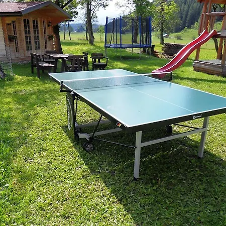 아파트 Sattlehnerhof 람자우 암 다흐스타인