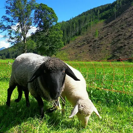 아파트 Sattlehnerhof