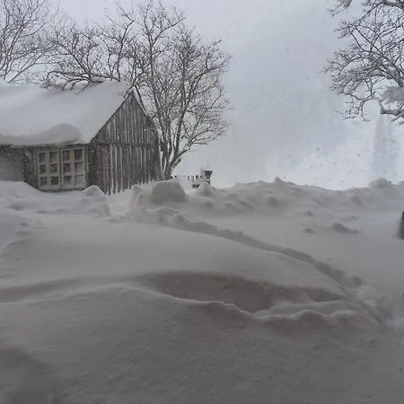 Sattlehnerhof 람자우 암 다흐스타인