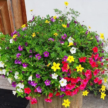 아파트 Sattlehnerhof 람자우 암 다흐스타인