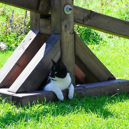 Sattlehnerhof 람자우 암 다흐스타인