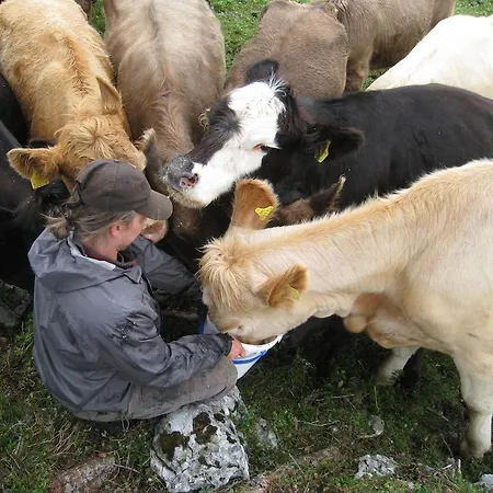 Lägenhet Sattlehnerhof