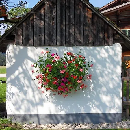 Lejlighed Sattlehnerhof Ramsau am Dachstein