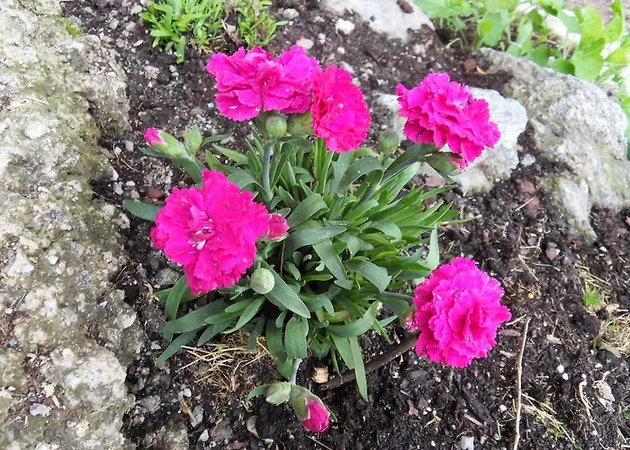 Appartamento Sattlehnerhof