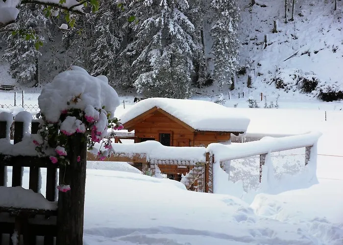 Appartamento Sattlehnerhof Ramsau am Dachstein