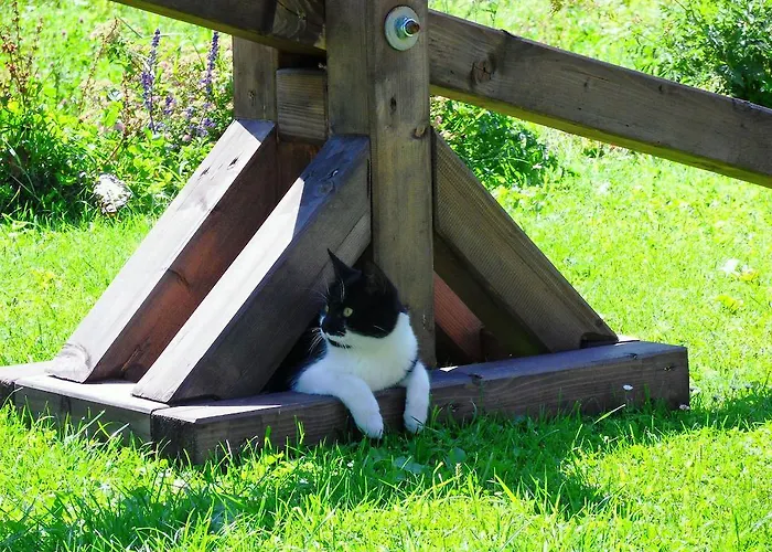 Sattlehnerhof Ramsau am Dachstein
